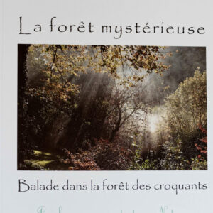 La Forêt Mystérieuse